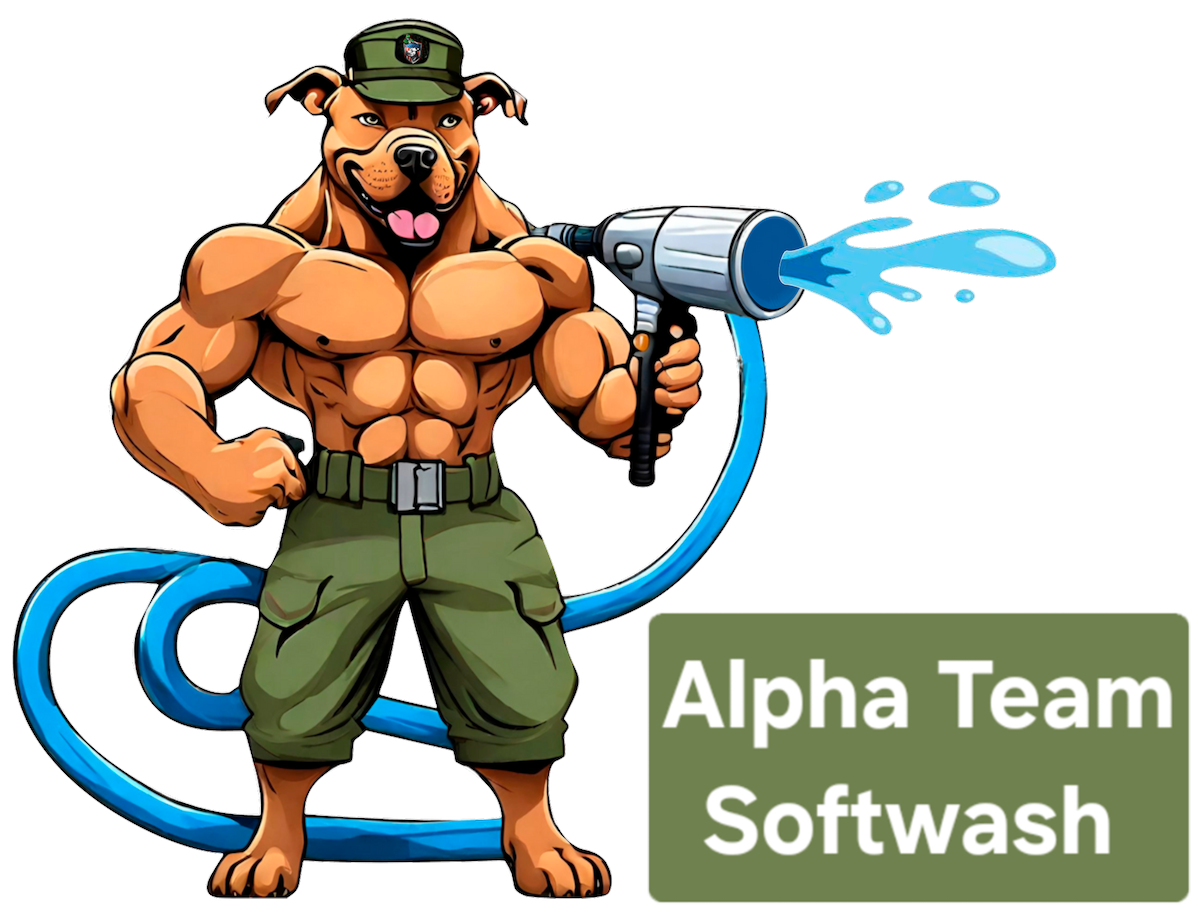 Character Image